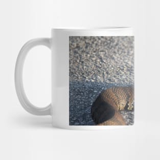 Cottonmouth Stare Mug